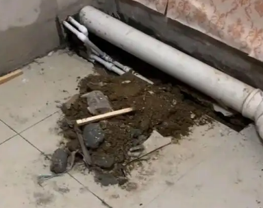 分宜卫生间漏水检测哪家好