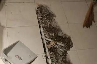 分宜卫生间漏水检测电话